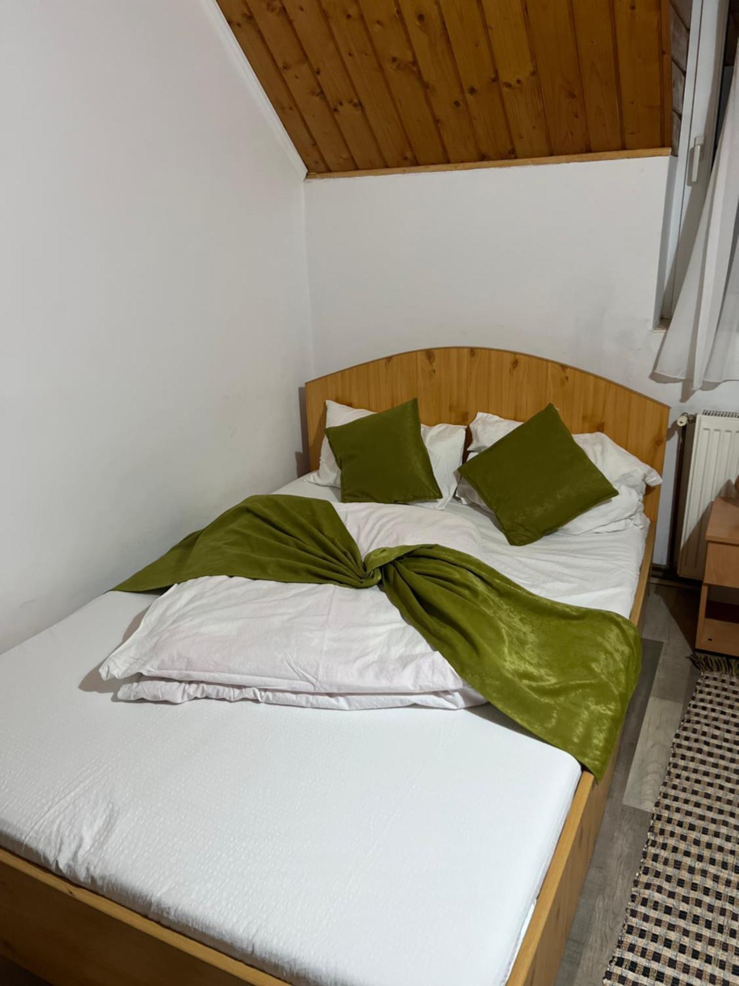 Vila Speranta Arieşeni Екстериор снимка