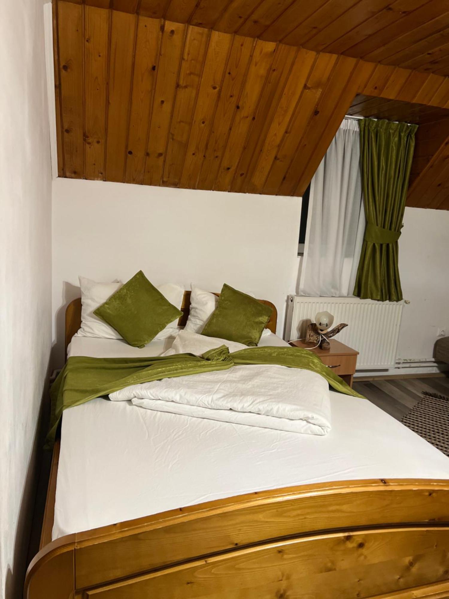 Vila Speranta Arieşeni Екстериор снимка