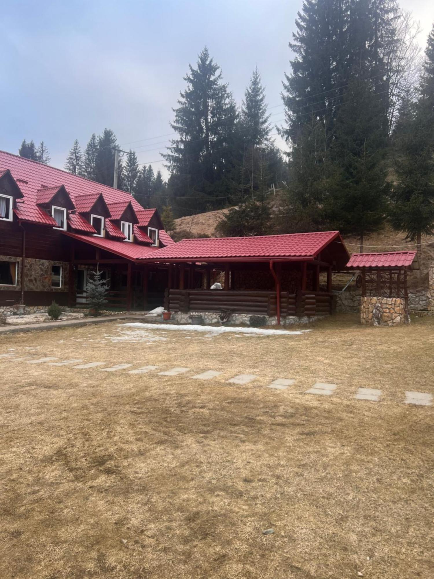 Vila Speranta Arieşeni Екстериор снимка